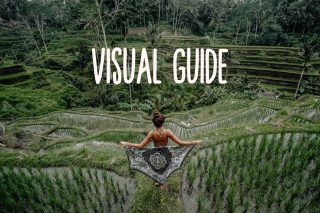 Visual Guide