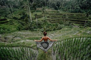 Bali Reisterrassen Ubud
