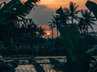 Bali Sonnenuntergang Canggu